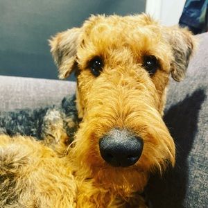 Meet your Posher, Emilie